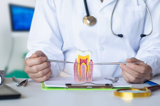 Best Knocked-Out Tooth (Avulsed Tooth) Treatment in Porterdale, GA